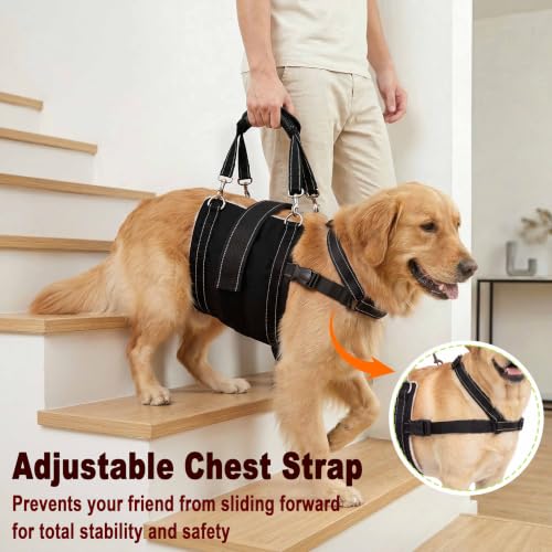 Adjustable All Dog Lift Harness for Large Dogs (Black (Female & Male) / Large)
