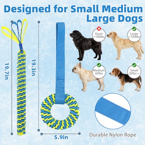 Snuffle Ball for Dogs