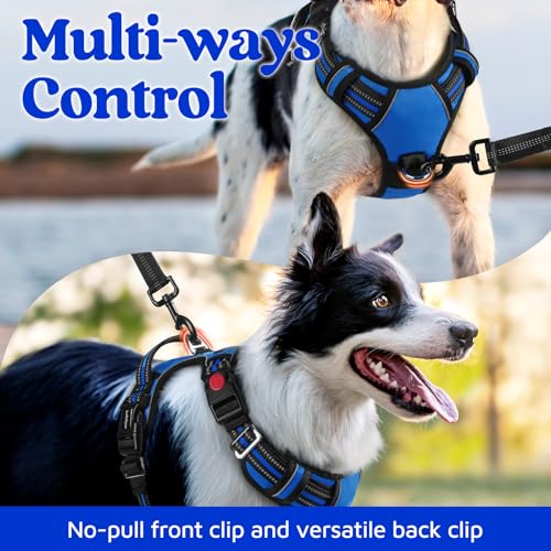 Dog Harness for Large (Royal Blue / Large)