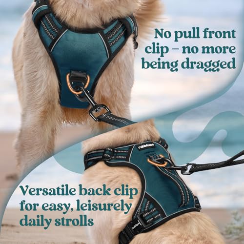 Large Dog Harness (Large / Green)