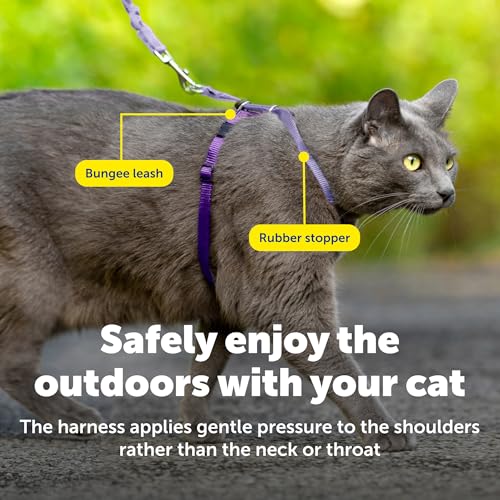 Come With Me Kitty Harness and Bungee Leash (Large (Pack of 1) / Lilac/Deep Purple)