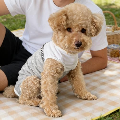 Dog Surgical Suit (Small / grey and white)