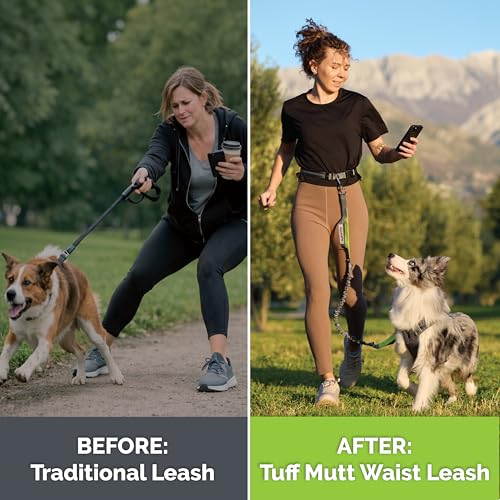 Waist Hands Free Dog Leash for Walking Running Hiking (gray/blue)