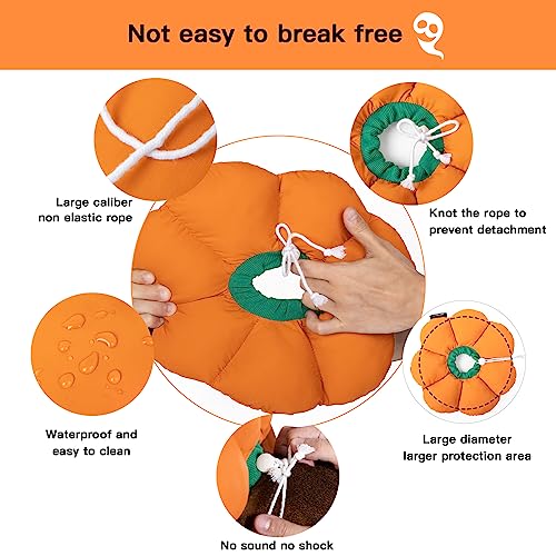 Cat Cone Collar (Large / Orange pumpkin)