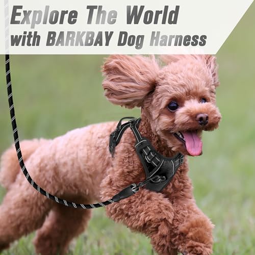 Dog Harness No Pull for Small Sized Dog Front Back Clips (X-Small(Chest:15.5-19.5”) / Black)