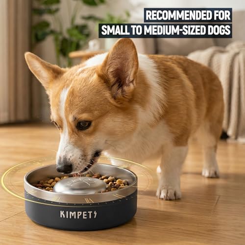 Dog Slow Feeder Bowls Food (Black)