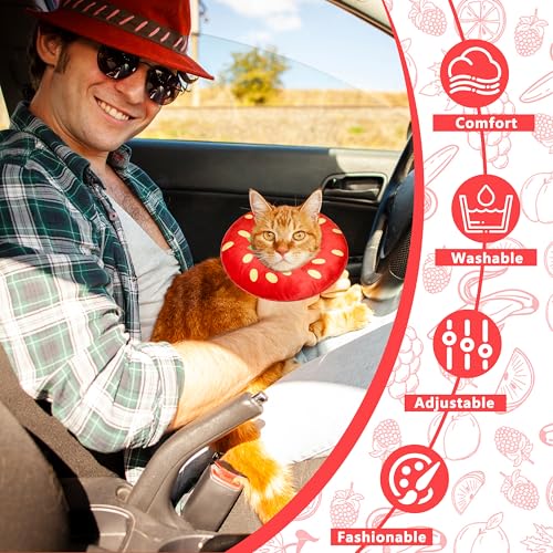 Cat Cone Collar Soft (Strawberry / Medium)
