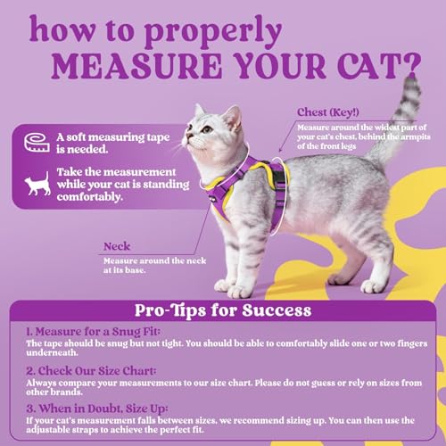 Cat Harness and Leash Set (Xs / Purple & Yellow)