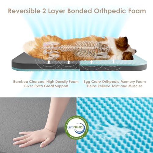 Orthopedic Foldable Human Dog Bed (72x44x11(Folded 44x36) / Brown)