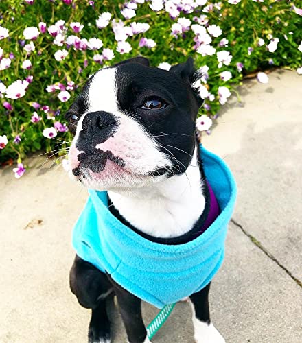 Stretch Fleece Vest Dog Sweater (Large Length (13.5") / Mint)
