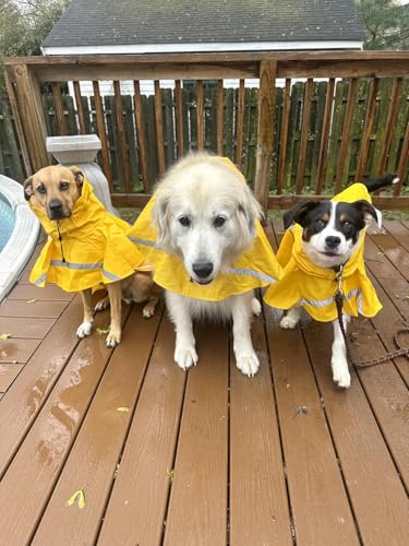 Dog Raincoats with Reflective Strip Hoodie (A1-Yellow / 16A (20-30 lbs))