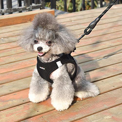 Dog Harness Step (Black / Medium (Chest 13.5''-16.5'', Weight 10-15 lb))