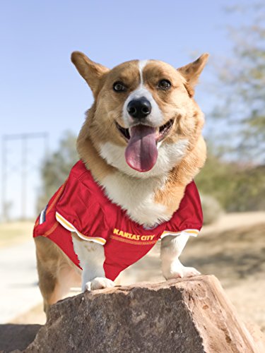 NFL Kansas City Chiefs Dog Jersey (X-Small / Kansas City Chiefs)