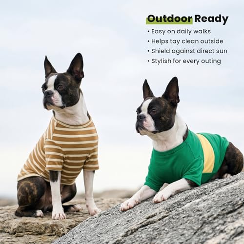 3 Pack Color Block Striped Dog Shirt (Medium / Navy Blue-Sea Green-Brown)
