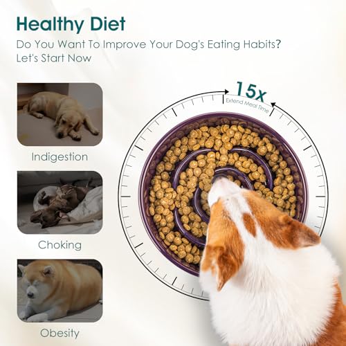 Slow Feeder Dog Bowl (M - 1.5 Cups / Dark Purple)