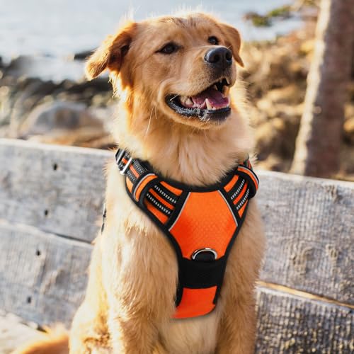 Dog Harness for Large (Orange / X-Large)