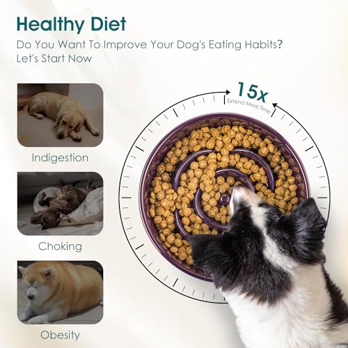 Slow Feeder Dog Bowl (L - 3 Cups / Dark Purple)