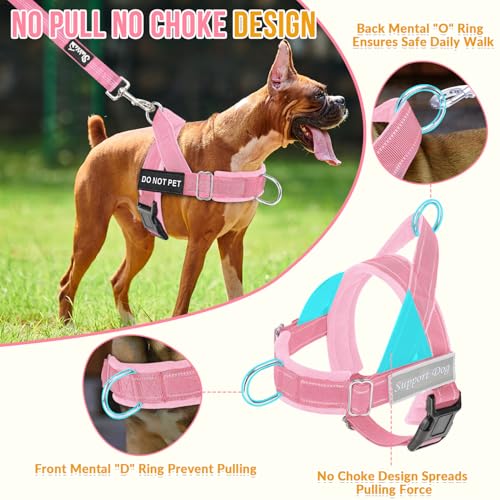 No Pull Dog Harness and Leash Set (Pink / Small)