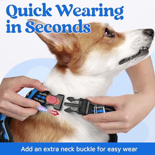 Dog Harness Medium Sized (Blue / Medium)