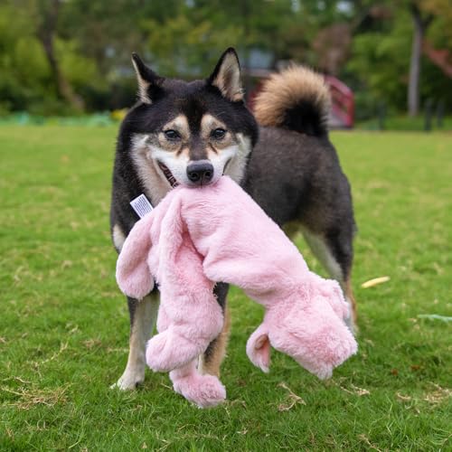 2-in-1 Stuffless Squeaky Dog Toy - Pig, Small (Pig / Small)