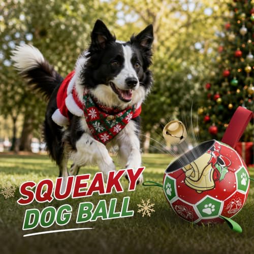 Christmas Dog Balls with Straps (Christmas 2 / 8 Inch)