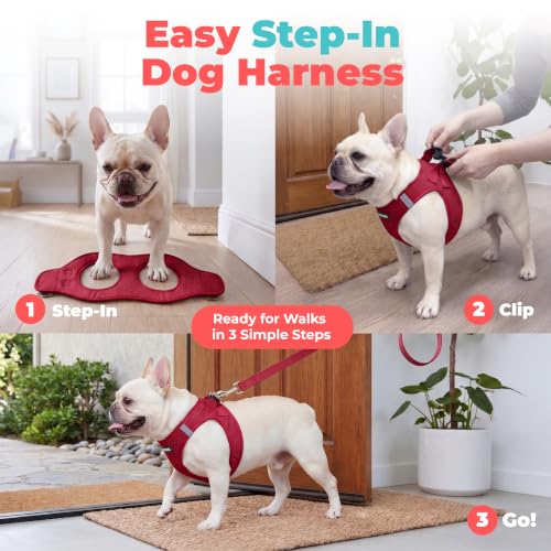 Voyager Step in Air Dog Vest Harness (Burgundy / L (Chest: 18 - 20.5"))