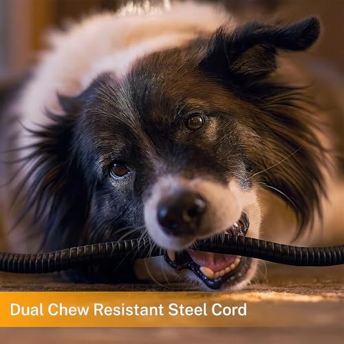 XL Pet Heating Pad (47.0"L x 28.0"W x 0.6"Th / Grey)