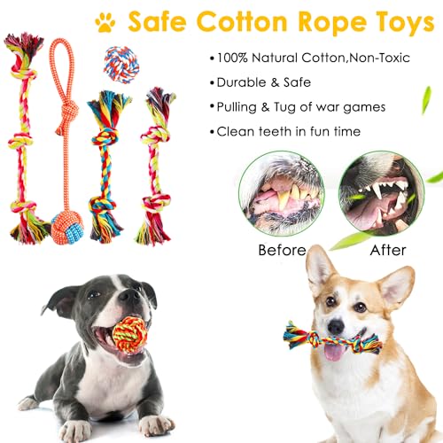 Dog Toys 25 Pack for Fun and Teeth Cleaning