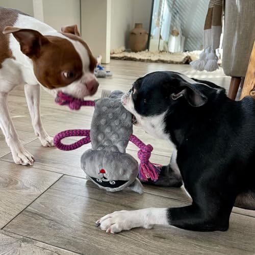 Puppy Chew Toys