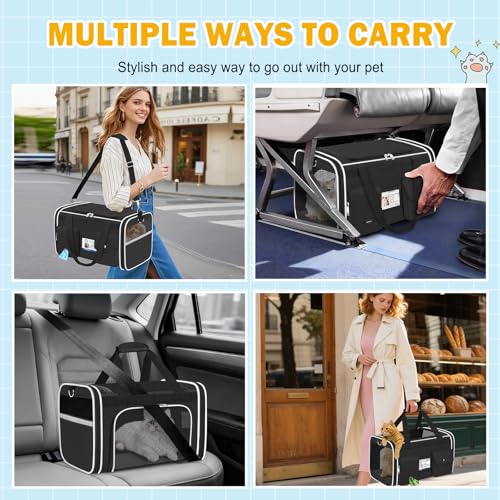 Large Cat Carrier Soft Sided Travel Pet Carrier Airline Approved (Black 1)
