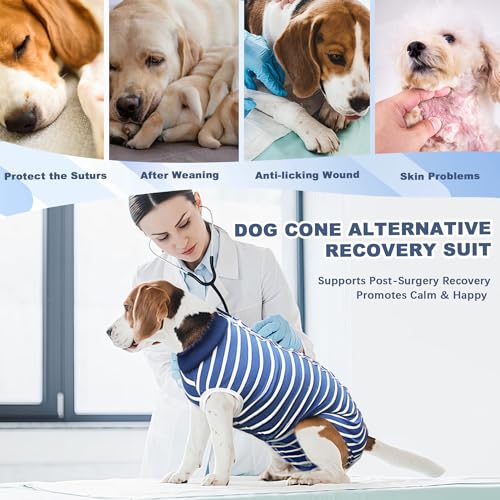 Recovery Suit for Dogs (Blue / X-Large)