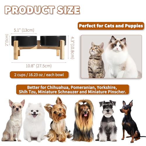 Elevated Ceramic Dog Bowl (Black / Small)