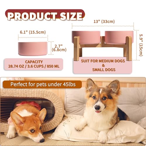 Elevated Ceramic Dog Bowl (Pink / Medium)