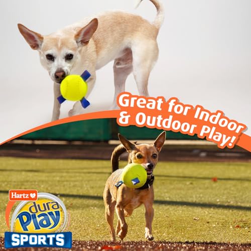 Dura Play Sports Soccer Dog Toy (Soccer Ball / 1 Count)