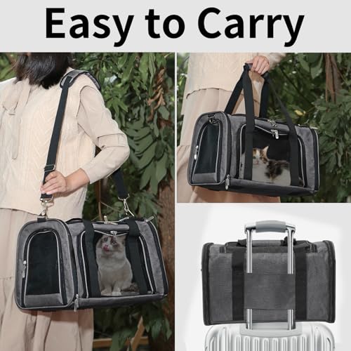 Soft Sided Cat (Dark Grey / 17"L x 11"W x 11"H)