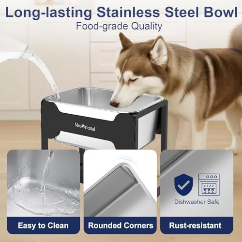 2.5 Gallon Elevated Dog Water Bowl for Large Breeds (14.2in Height)