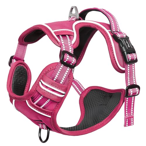 Dog Harness for Small Dogs No Pull Dog Vest Harness for Small Dog with Soft Padded Handle Reflective for Outdoor Training (S / Rose(Matching Trim))