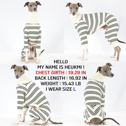 D Doggy Star Italian Greyhound Clothes Soft Stretchy Onesie Refined Stripe Outfit Whippet for Dog Coat (2XL / Onesie Black Stripe)