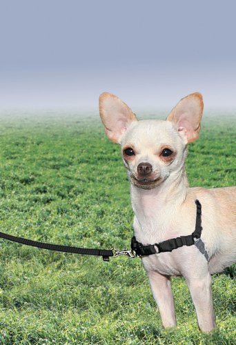 Easy Walk Harness (Petite / Black/Silver)