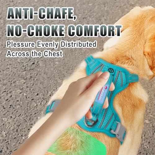 No Pull Dog Harness Large Reflective Dog Harness with Front Clip and Easy Control Handle for Walking Training Running with ID tag Pocket (Ocean Blue / Medium)