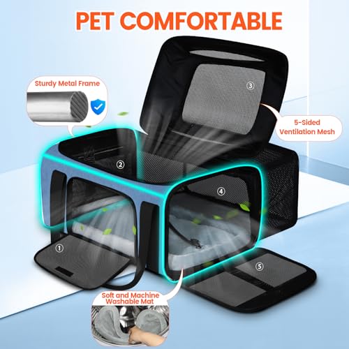 Top & Side Expandable Small Pet Carrier with Wheels Airline Approved (Blue with Wheels / 18.0"L x 13.0"W x 9.5"H)