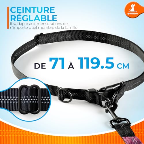 Hands Free Dog Leash (Pink / 1 dog M/L)