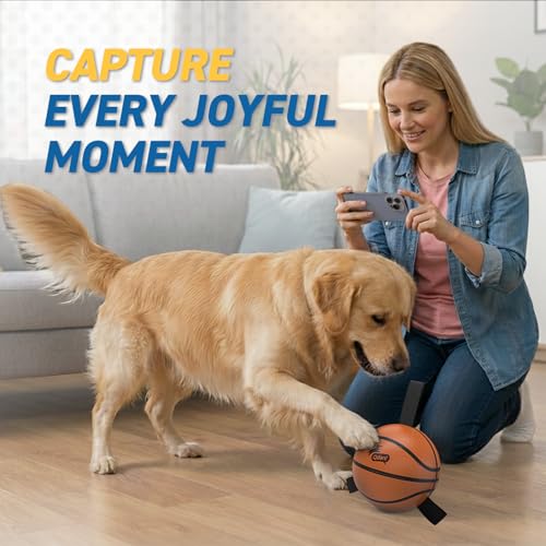 Dog Basketball Toys (Basketball / 6 Inch)
