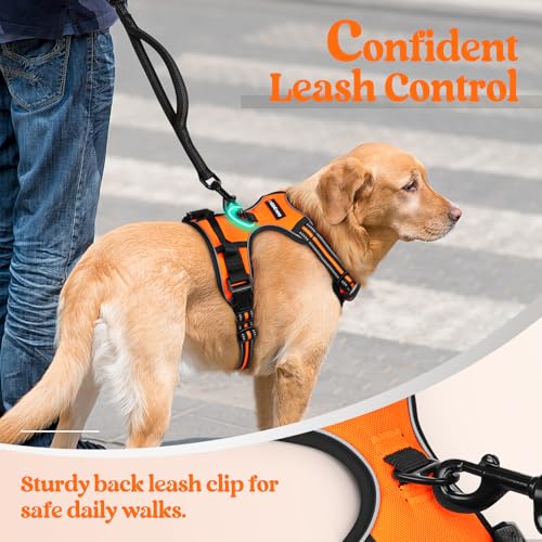 Dog Harness No Pull for Small Dogs with 2 Leash Clips (Small / Orange)