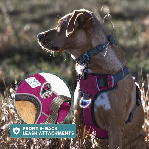 Embark No Pull Dog Harness (L / Pink)