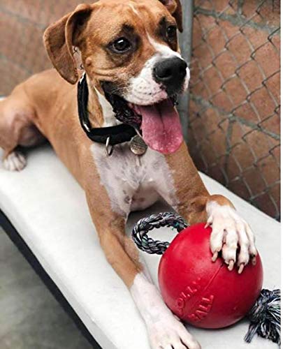 Romp-N-Roll Rope & Ball Dog Toy, 6 in Medium, Red (Red / Medium (6 in))