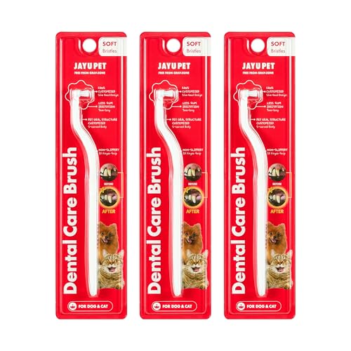 Dental Care Brush Soft Bristles 3ea (Soft Bristles / 1 Count (Pack of 3))