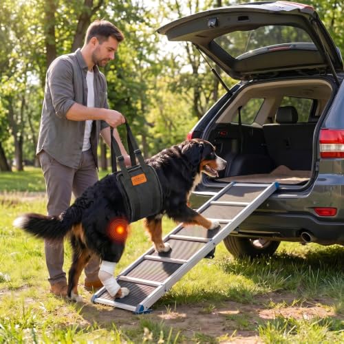 Adjustable Dog Lifting Harness (Grey / Small)