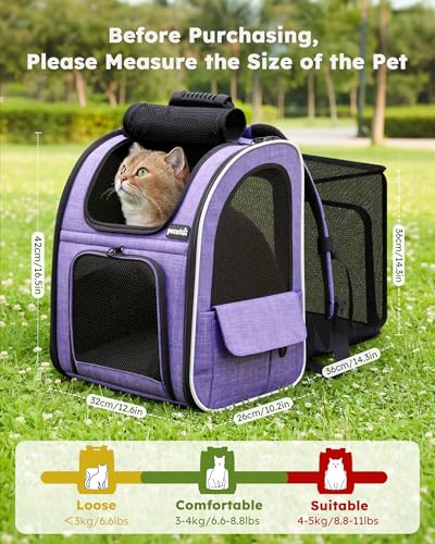 Cat Backpack Expandable (Purple / 12.6"L x 10.2"W x 16.5"H)