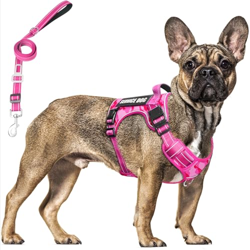 Tactical Dog Harness and Leash Set with 10 Patches for Large Dogs (Large / Camo Pink)